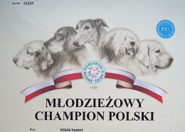 Młodzieżowy Championat Polski